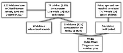 Pulmonary Outcomes in Children Born Extremely and Very Preterm at 11 Years of Age